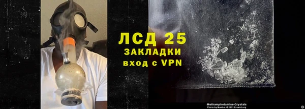 гашик Осинники