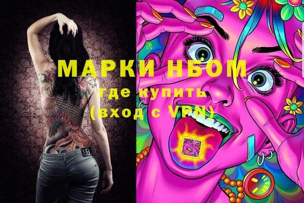 гашик Осинники