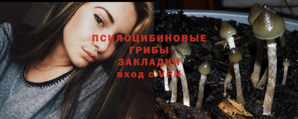 гашик Осинники