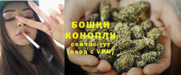 Альфа ПВП Пересвет
