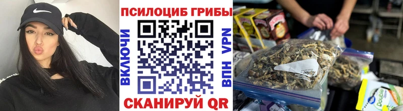 купить наркотики цена  Абдулино  МЕГА ссылки  Галлюциногенные грибы Psilocybine cubensis 